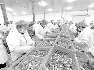 亳州晚报社数字报刊平台