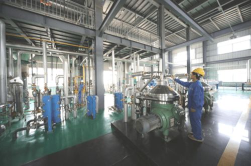 荆楚好油飘香八闽大地 接福 匠心品质传承 第三届粮食交易大会湖北参展企业巡礼