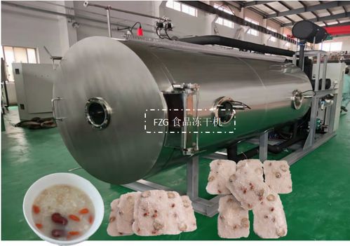 fzg食品冻干机在燕麦粥冻干加工应用