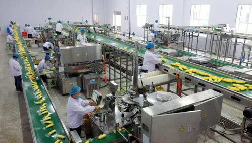 大董农业打造中国北方 绿色明珠