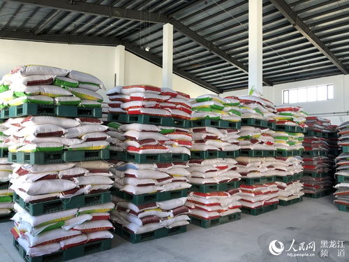 黑龙江蓝谷食品 创新粮食深加工 带动农民增产增收