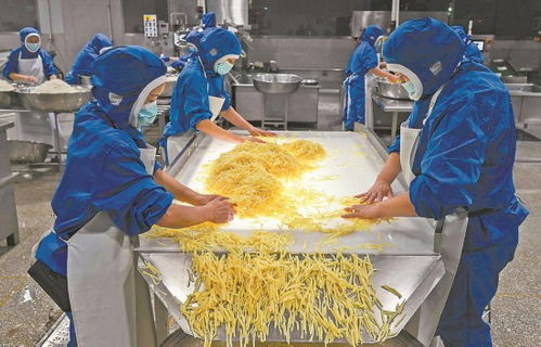 福建 上山入林,向森林要食物