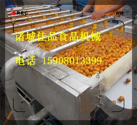 大型蓝莓清洗机,溜溜梅清洗机型号原理,大型蓝莓清洗机,溜溜梅清洗机型号原理生产厂家,大型蓝莓清洗机,溜溜梅清洗机型号原理价格