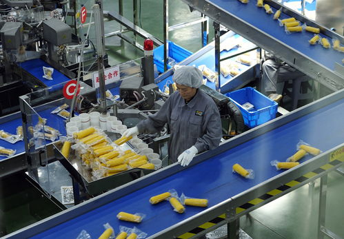 高质量发展调研行 让饭碗装上更多优质 龙江粮 黑龙江打造特色现代农业