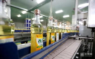 西王食品公司获评国家绿色工厂