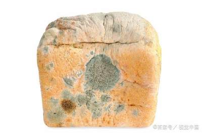 比砒霜更可怕的黄曲霉毒素,为了家人和自己的健康赶紧来了解一下