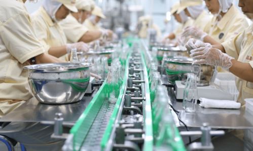 品鉴oem燕窝代加工厂专注滋补养生产品 进军花胶市场