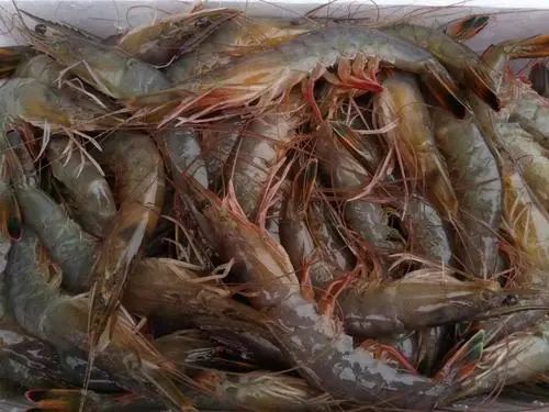 当心 海水虾检出镉超标,吉林通报11批次不合格食品
