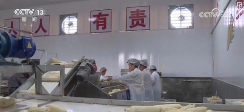 一块田 释放土地生产经营活力 一村一品 成农户致富 金钥匙