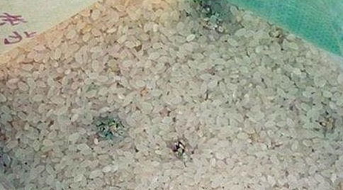 将军之官 肝脏,最讨厌的食物有哪些 这4种表现要重视