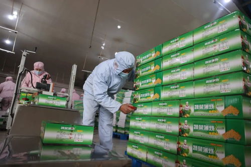 两会特稿 坚定工业立市不动摇 重塑制造业强市风采