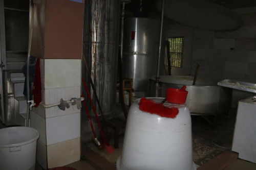 现场直击 蒙山多家食品加工小作坊被抽查