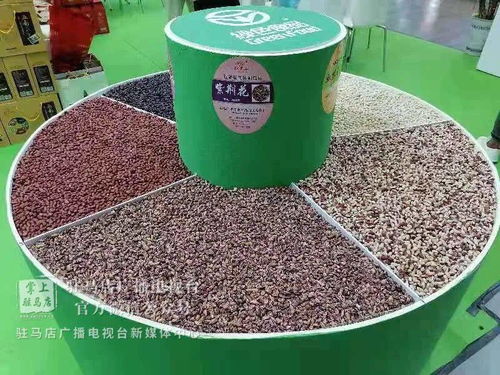 精彩不断 这就是今天的驻马店农洽会
