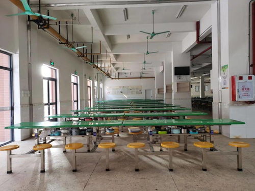 学校食堂 互联网 明厨亮灶 建设工作,完成率100